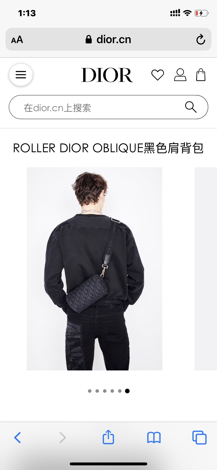 Christian Dior Other Bags